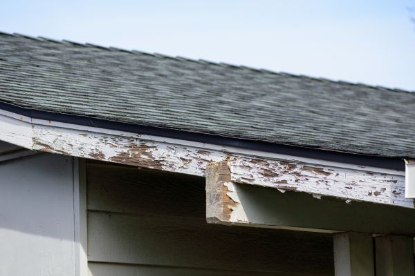 Houston Wood Rot Repair