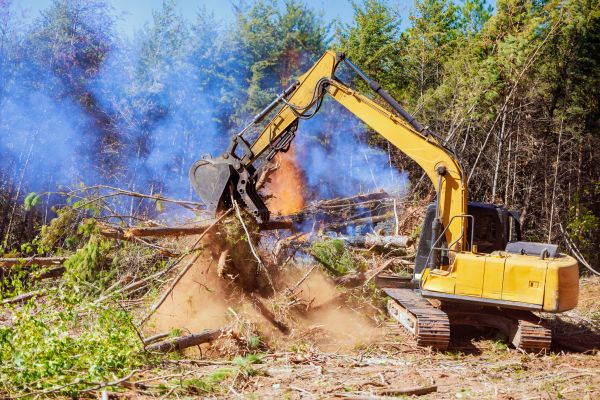 Houston Land Clearing
